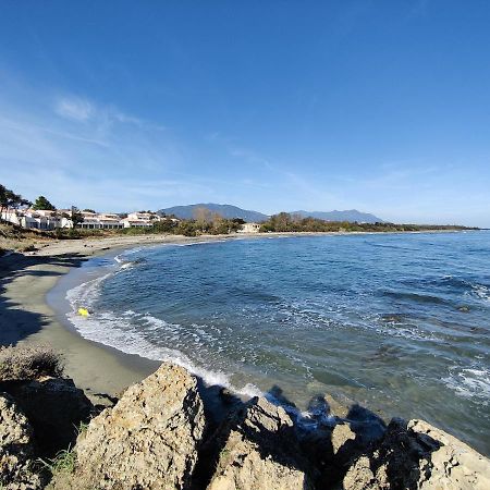 Corse, Residence Marina Di Bravone, Acces Direct Plage Linguizzetta Bagian luar foto